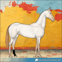 Horse Color:Smoky Grullo Roan Pearl