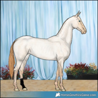 Horse Color:Smoky Grullo Roan Pearl 