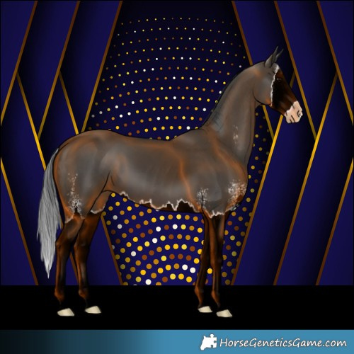 Horse Color:Black Sabino Splash 