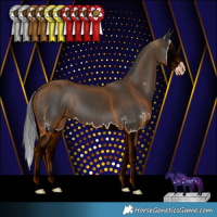 Horse Color:Black Sabino Splash 