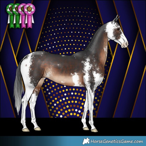 Horse Color:Brown Sabino 