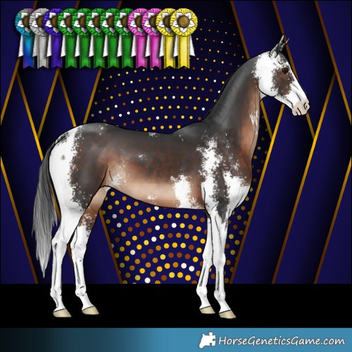 Horse Color:Brown Sabino 