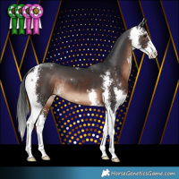 Horse Color:Brown Sabino