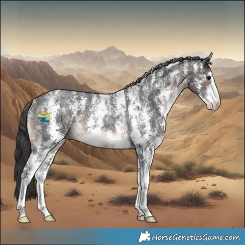 Horse Color:Powder White Brown Sabino Appaloosa 