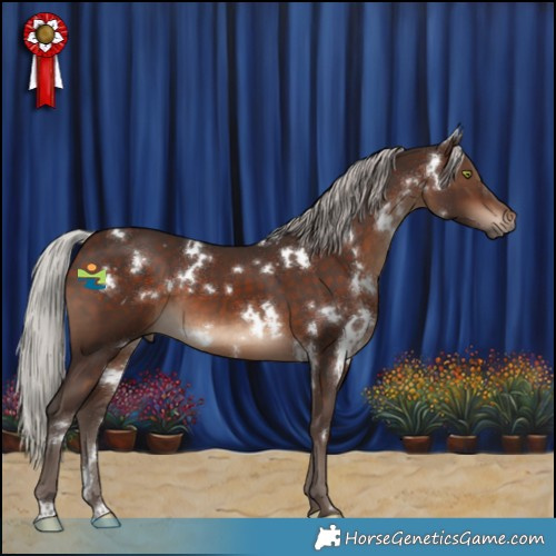 Horse Color:White Spotted Silver Brown 