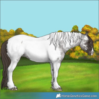 Horse Color:Liver Red Roan Tobiano Near Fewspot 