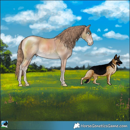 Horse Color:Perlino 