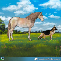 Horse Color:Perlino 