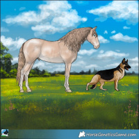 Horse Color:Perlino 