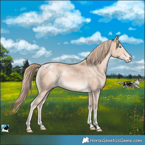 Horse Color:Perlino Sabino