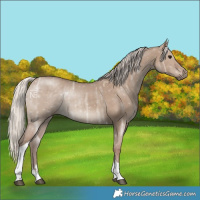 Horse Color:Silver Grullo Ice Tobiano Rabicano 