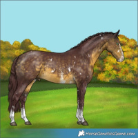 Horse Color:White Spotted Chocolate Buckskin Mushroom Rabicano