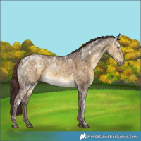 Horse Color:White Spotted Chocolate Buckskin Ice Dun 