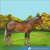 Horse Color:Chocolate Palomino Varnish 