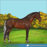 Horse Color:Silver Brown 