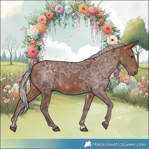 Horse Color:Silver Bay Ice