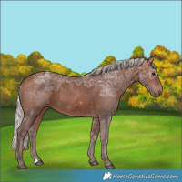 Horse Color:Silver Bay Ice 