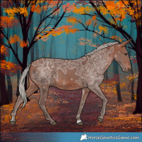Horse Color:Silver Bay Ice 
