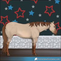 Horse Color:Red Dun 