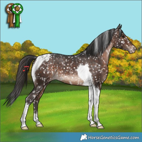 Horse Color:Brown Tobiano Snowflake Varnish 