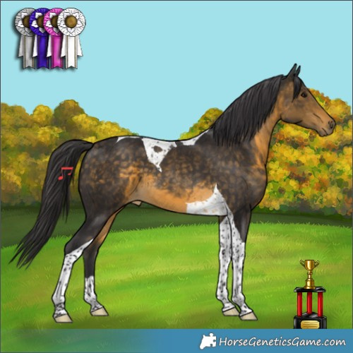 Horse Color:Buckskin Tobiano 