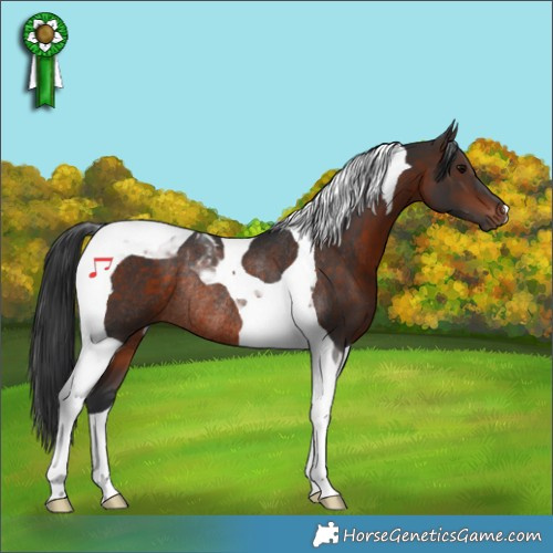 Horse Color:Brown Tobiano Rabicano 