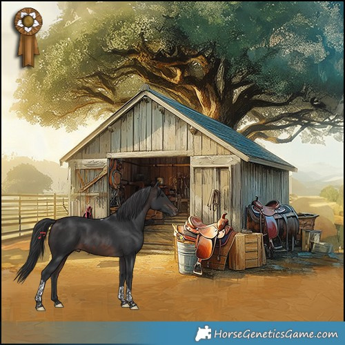 Horse Color:Brown Tobiano 