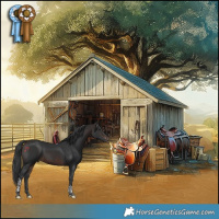 Horse Color:Brown Tobiano 