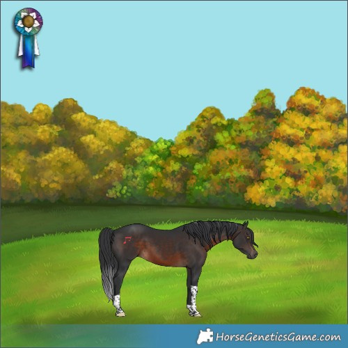 Horse Color:Brown Tobiano 