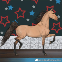 Horse Color:Bay Dun 
