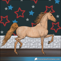 Horse Color:Red Roan
