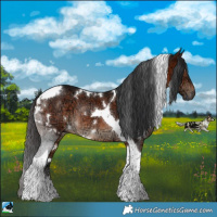 Horse Color:White Spotted Brown Ice Tobiano Rabicano