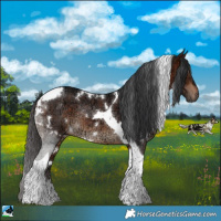 Horse Color:White Spotted Brown Ice Tobiano Rabicano