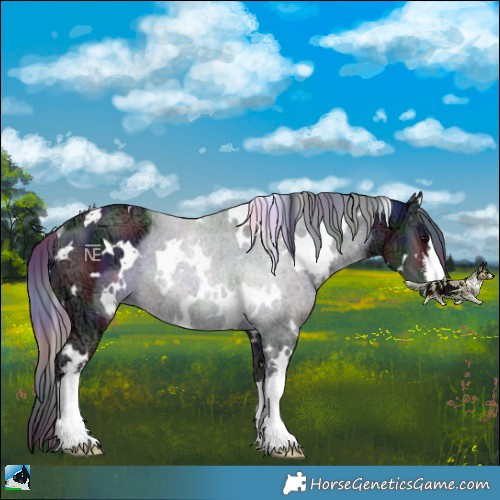 Horse Color:Nacre White Spotted Black Ice Rabicano 