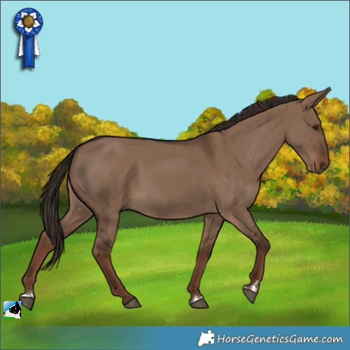 Horse Color:Liver Red Dun 