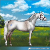 Horse Color:Gray Silver Black Pearl Tobiano 
