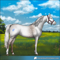 Horse Color:Gray Silver Black Pearl Tobiano 