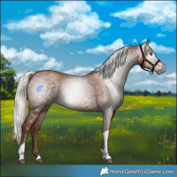 Horse Color:Gray Silver Black Pearl Tobiano 