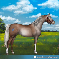 Horse Color:Gray Silver Black Pearl Tobiano 