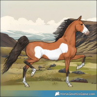 Horse Color:Bay Frame 