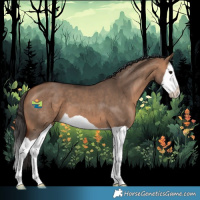 Horse Color:Bay Dun Splash 
