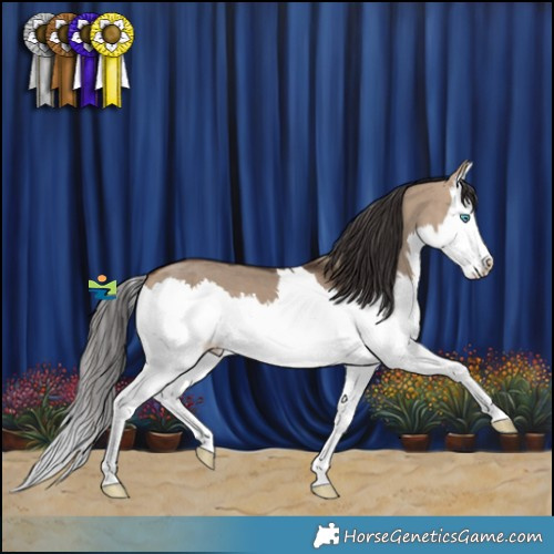 Horse Color:Bay Dun Splash 