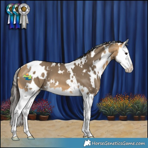 Horse Color:White Spotted Buckskin Dun Splash 