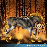 Horse Color:Gray Blue Onyx Splash 