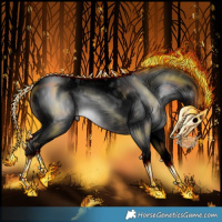 Horse Color:Gray Void Brown Tobiano Appaloosa