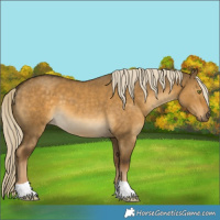 Horse Color:Chocolate Palomino Dun Mushroom 