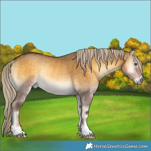 Horse Color:Chocolate Palomino Onyx Mushroom Rabicano 