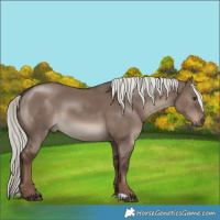 Horse Color:Liver Red Dun Mushroom 