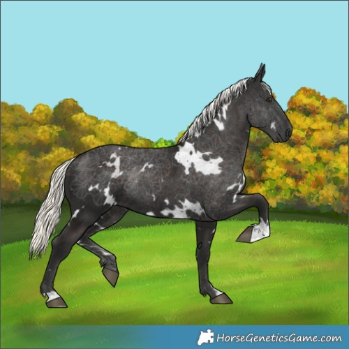 Horse Color:White Spotted Liver Chestnut Mushroom Rabicano