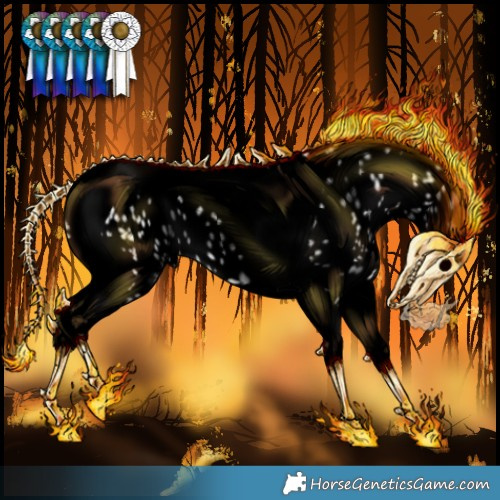Horse Color:Void Chestnut Chinchilla Tobiano Appaloosa Rabicano 